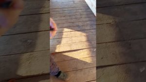 фильм стукач 1 серрия 1 сезон  (скора вторая серрия)