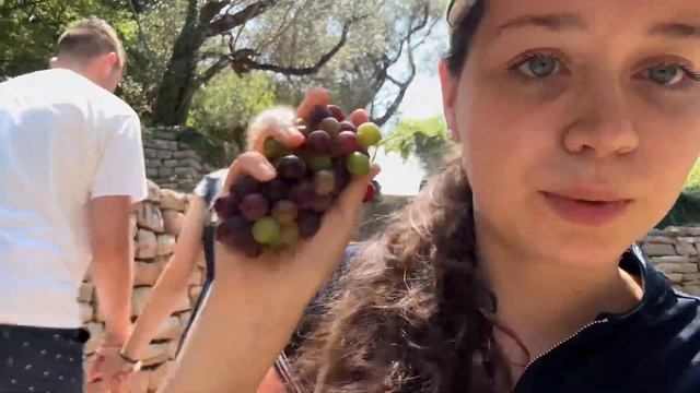 ЧЕРНОГОРИЯ ВЛОГ 🇲🇪 | ПЛЯЖ СВЕТИ СТЕФАН | MONTENEGRO VLOG смотреть онлайн