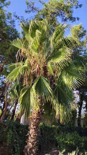 Отдых в Турции❤ смотреть онлайн