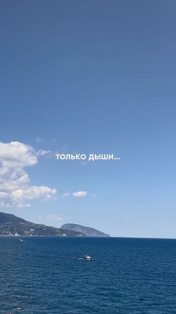 Отдых в Palmira Finest смотреть онлайн