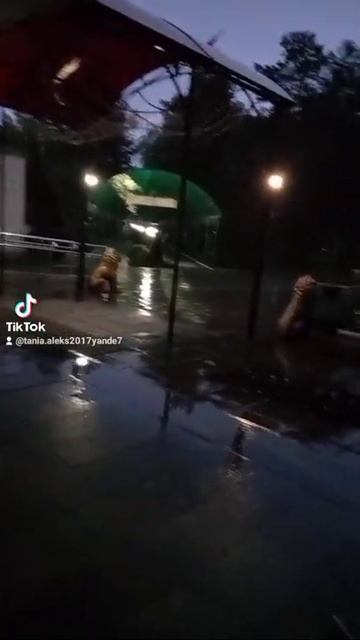 #shorts#Беларусь#Санаторий#спапрцедуры# смотреть онлайн