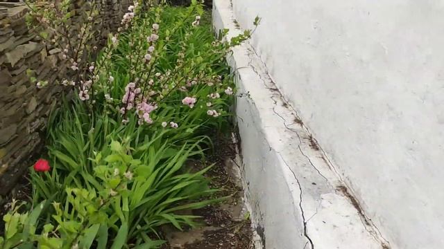 Еду за детьми в деревню к маме смотреть онлайн