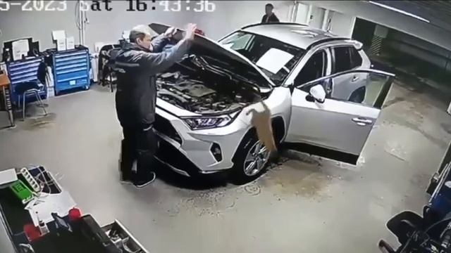 Автомеханики нашли кота под капотом машины которую привезли в автосервис  