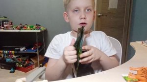 обзор повелители леса.mp4