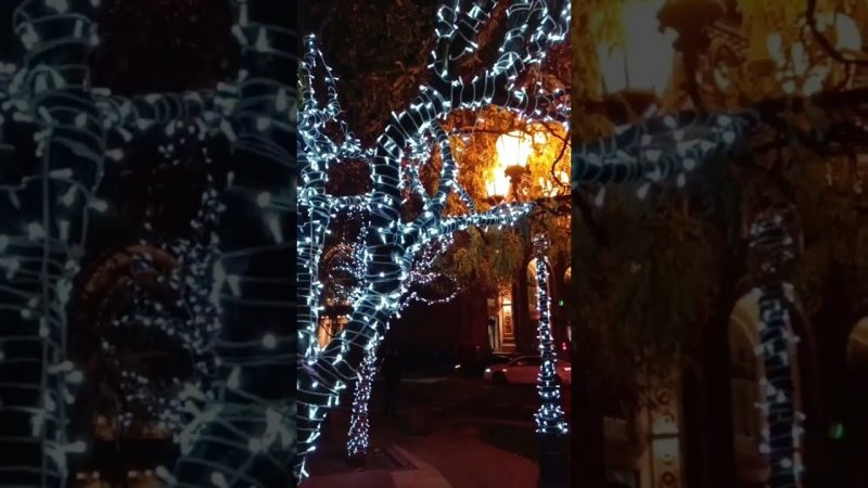 Армения готова встречать гостей на новогодние праздники! ✨✨ #ТурТрансВояж #экскурсионныйтур #тур