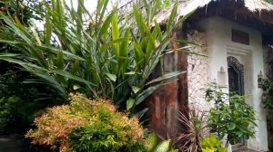 Обзор Keraton Jimbaran Bali , старинный отель сад