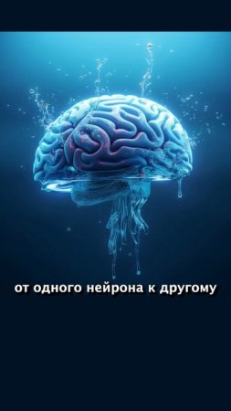 Три удивительных отличия детей с СДВГ
