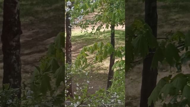 Я должена собираться в санаторий, Приморье, Крым Евпатория🥰🤗😇 смотреть онлайн