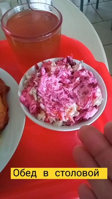 Обед в деревенской столовой #shorts #обед #столовая #славиклайф #slaviklife #foodclips #shortvideo смотреть онлайн