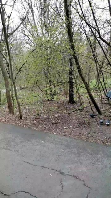 Ставрополь, 16 апреля. Сегодня ветер и +7. Вчера в Невинномысске было +14 но тоже ветер. смотреть онлайн