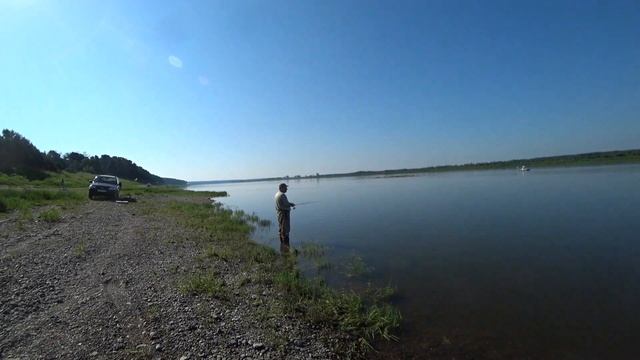 Рыбалка на реке Томь в конце июня 2024 смотреть онлайн