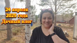 24 апреля 2025 года. Дача, грядки и собака