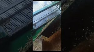 Вибросито, калибратор, веялка для сельскохозяйственных культур.