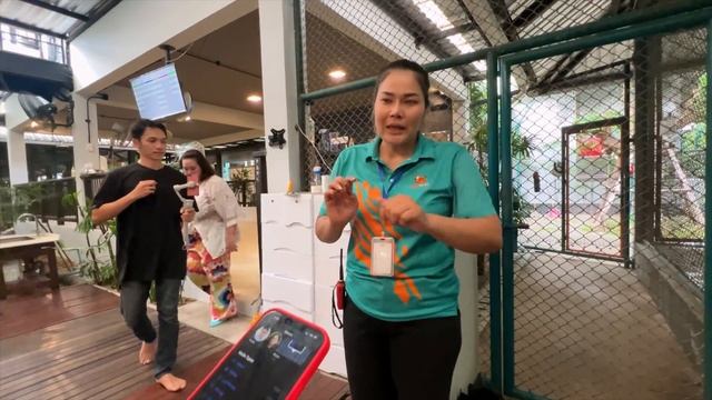 Life in Pattaya, Thailand : Hotel, Tiger Park, Thai Massage, Night Walk, Beach, GRWM, Food Hunting смотреть онлайн