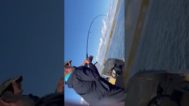 рыбаки ловили судака а попался ??? смотреть онлайн