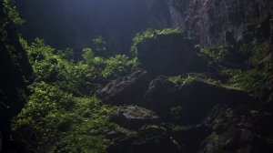 Самая большая пещера в мире: Внутри есть лес, река и облака