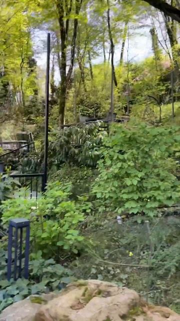 ДУШЕВНАЯ АТМОСФЕРА В МАМАЙ КАЛЕ #мамайкале #сочи #жизнь #жизньпрекрасна #ресторан #ресторанвсочи смотреть онлайн