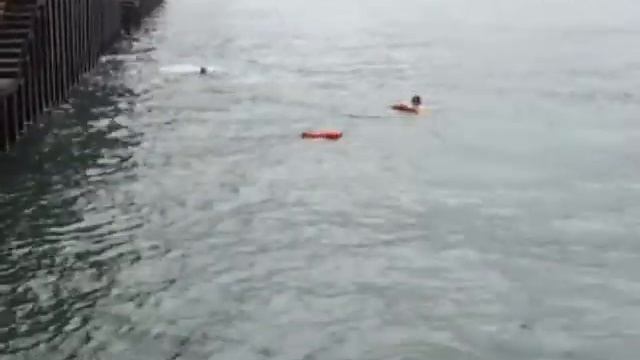 Из гонконга смотреть онлайн