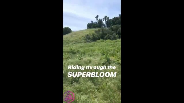 TALINDAS INSTA STORIES 5