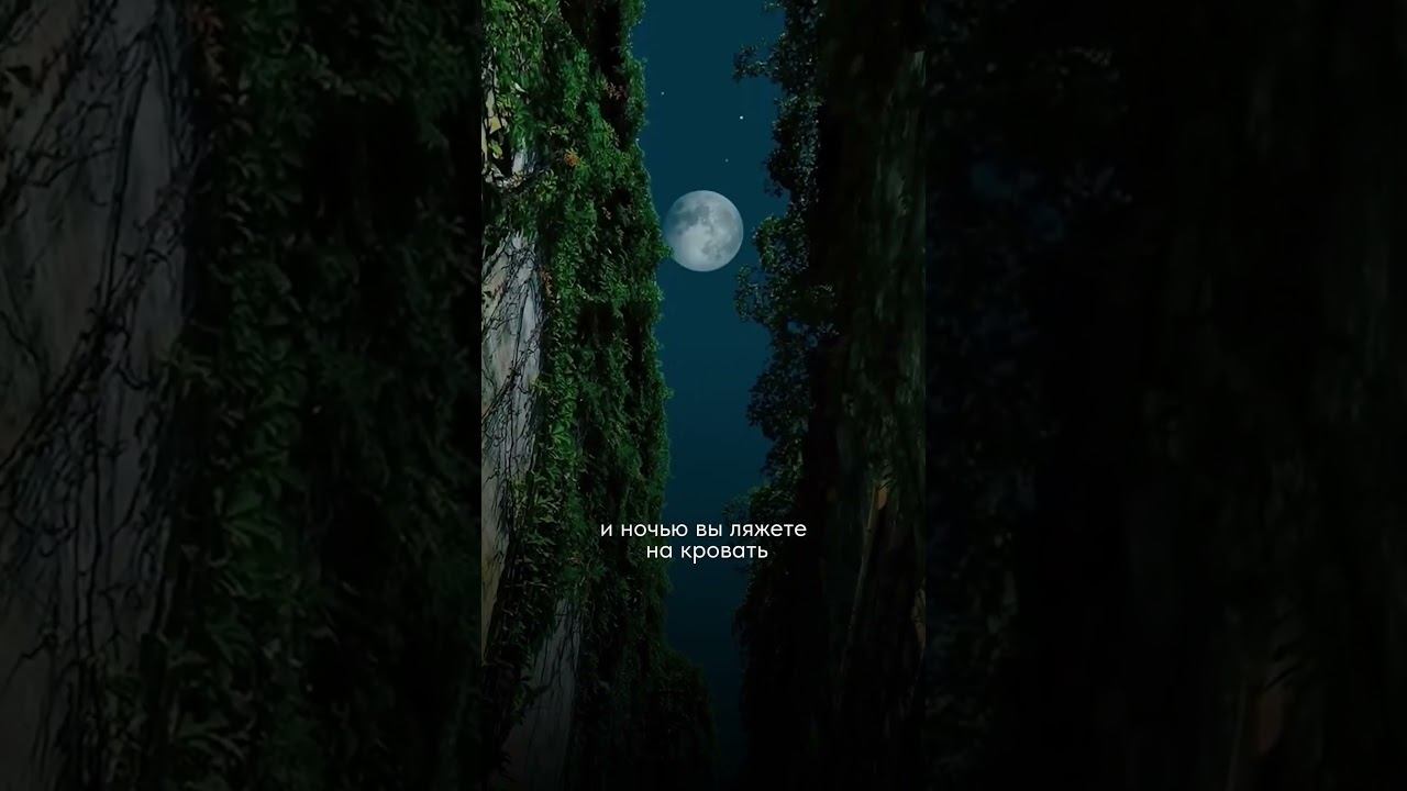 Осознать себя во сне #даосскиепрактики #осознанныесновидения #дао #осознанность #даосизм #цигун смотреть онлайн