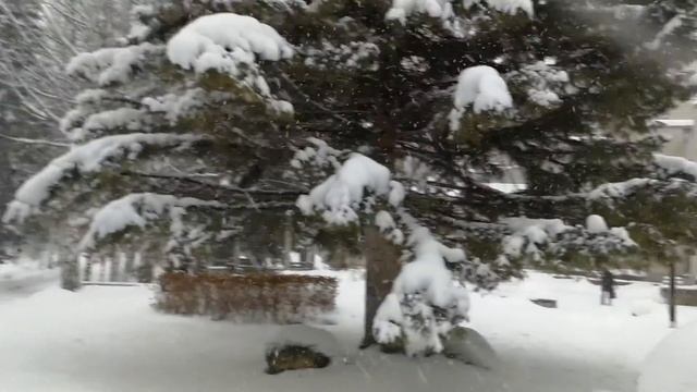 Центральная аллея Санаторий Россия Белокуриха смотреть онлайн