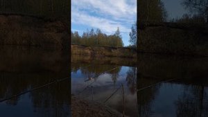 Пока умные рыбаки дома сидят, порыбачим!