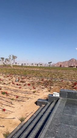 Egypt. Sharm el sheikh. March 2023. Travel. Египет. Шарм эль Шейх