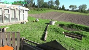 Гоша воспитывает своих детей.