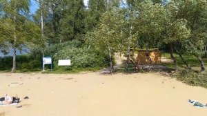 Подмосковье #г.Фрязино, озеро Большое. 25.06.2024