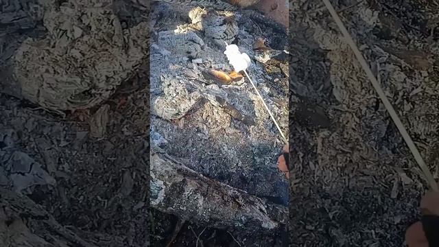 3 марта 2024 года был прекрасный отдых в лесу НЕ СУДИТЕ СТРОГО Я ТОЛЬКО НАЧИНАЮ ВЕСТИ ЮТУБ ☺️ смотреть онлайн