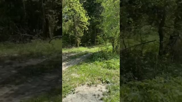 Пионерский лагерь "Ласточка"