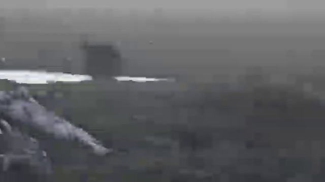 Сахалин встречаем медвежат 😇 смотреть онлайн