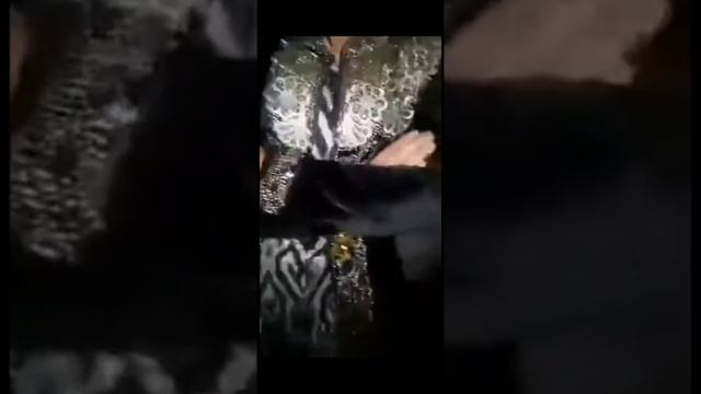 Сух Ишёри даромада сухи Занака гойда брафтас #Зино #сух #таджикистан #узбек #нтк #сухахборот смотреть онлайн