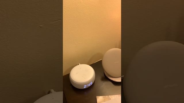 Алекса буйрук бажаради Alexa смотреть онлайн