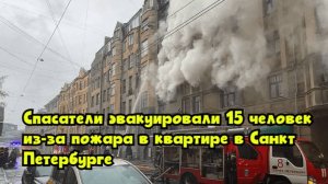 Спасатели эвакуировали 15 человек из-за пожара в квартире в Санкт-Петербурге