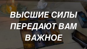 Таро расклад для мужчин. Высшие Силы Передают Вам Информацию ☀️🙏