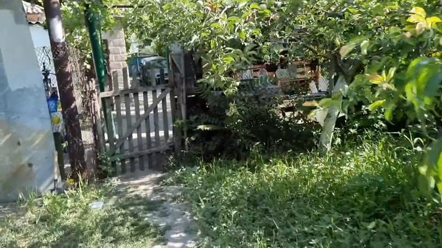 Жизнь в селе такая) Проверенный рецепт вкусных огурцов на зиму! смотреть онлайн