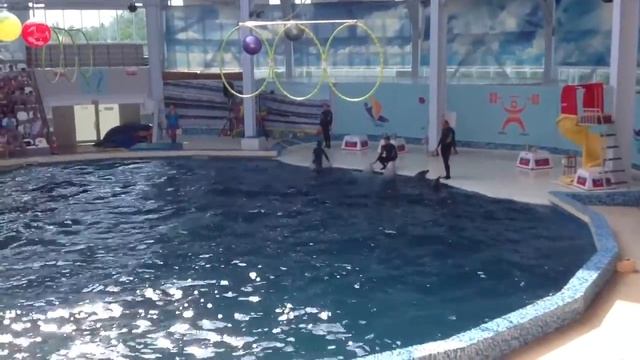 Евпатория 2014 год август смотреть онлайн