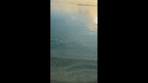 Мальдивы. отель  Riu Palace Maldives 5* 2023год