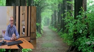 "Собака  Баскервилей"-фильм 1981года