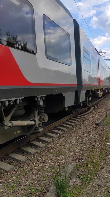 Ласточка. Сельма. Калининград. смотреть онлайн