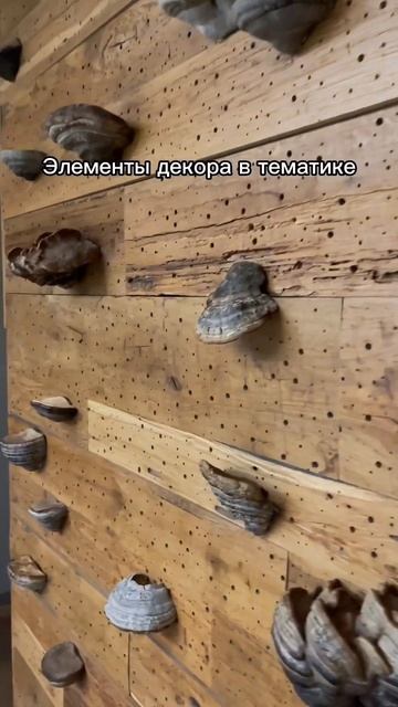 Ресторан «НА ГРИБАХ» #ресторанымосквы #кудасходитьвмоскве #кудапойтивмоскве смотреть онлайн