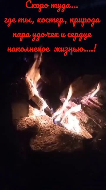 #лещ #фидер #окунь #плотва #рыбалка #рыба #астрахань #сом #раки #рак #куданарыбалку #кемпинг #душа