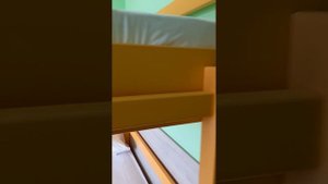 Пансионат Шексна, новый корпус. Номер стандарт с двухъярусной кроватью