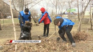 Трудовое воспитание
