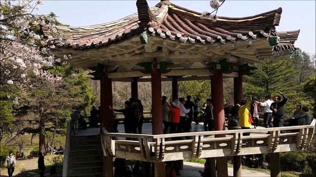 Северная Корея. Видеозарисовки смотреть онлайн