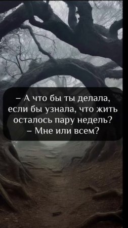 Полина Душина - LightHouse