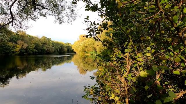 Москва Парк Кузминки смотреть онлайн