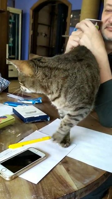 Миру осматривается смотреть онлайн