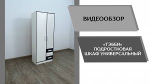Видеообзор подростковая Тэбби. Шкаф универсальный